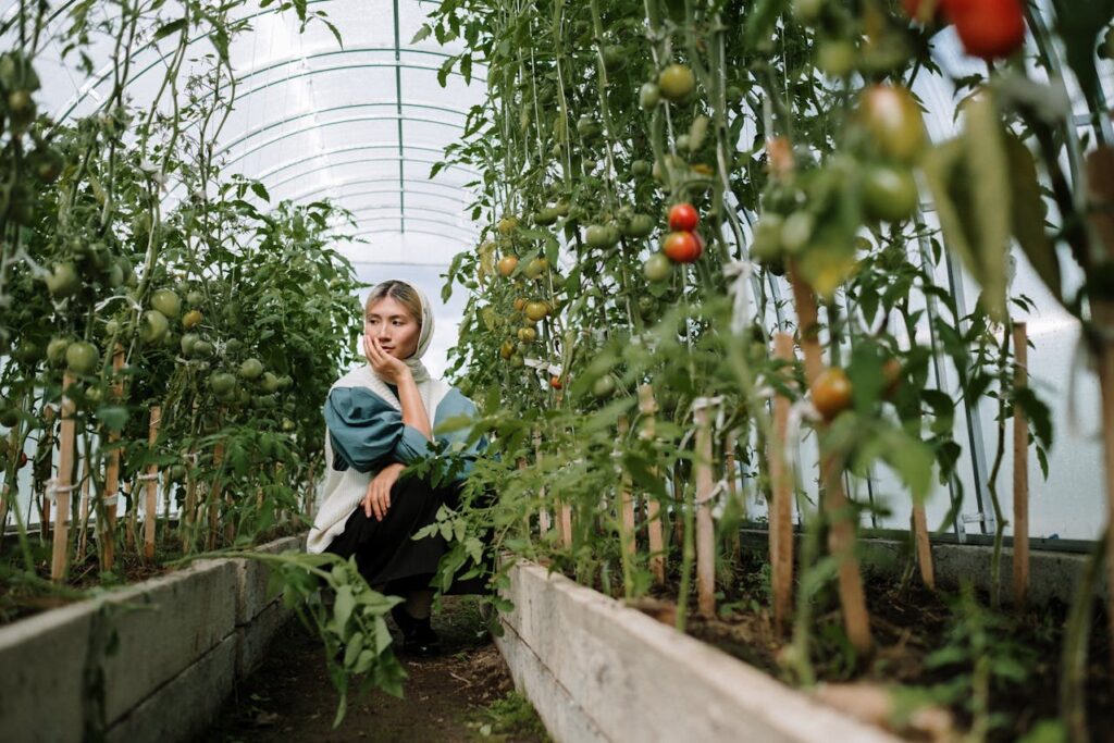 Organic Tomato Cultivation Techniques | Tips & Tricks